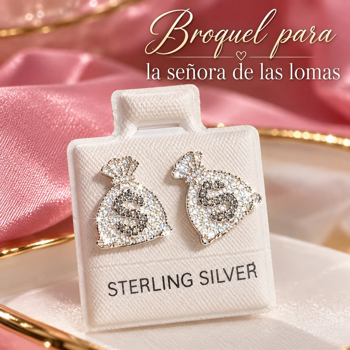 Broquel Bolsa Dinero BR0028